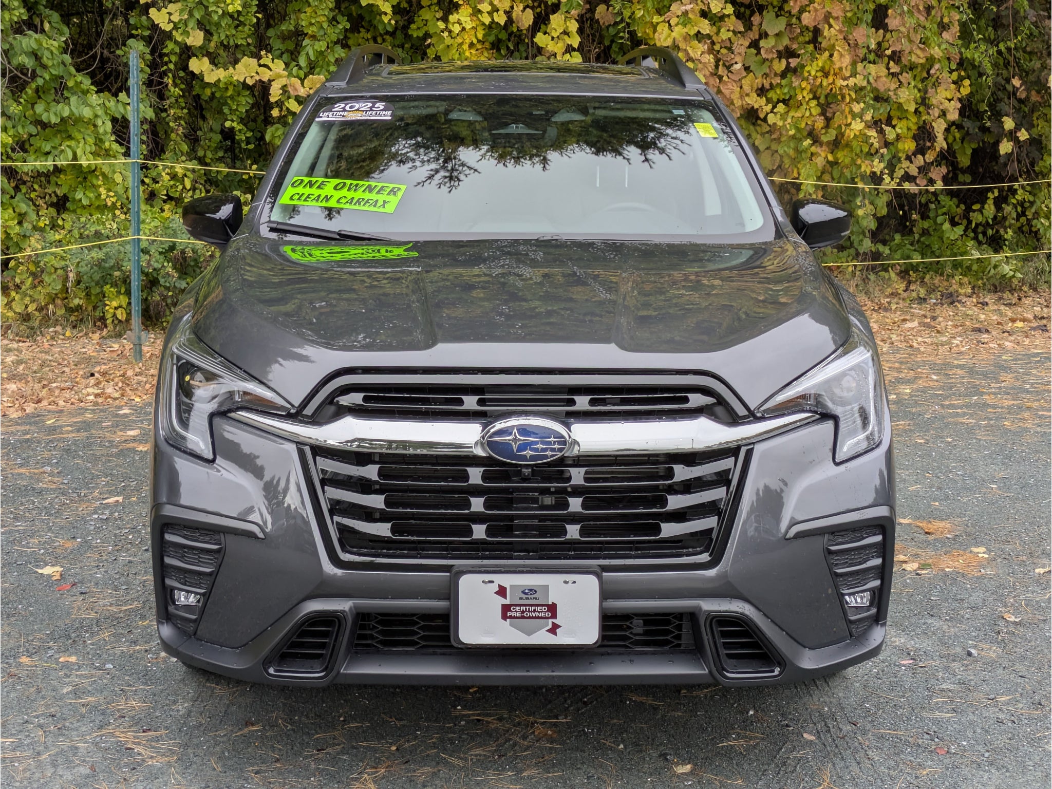 2025 Subaru Ascent Limited