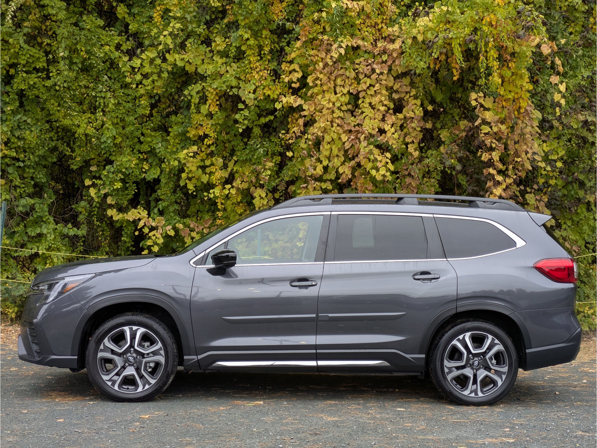 2025 Subaru Ascent Limited