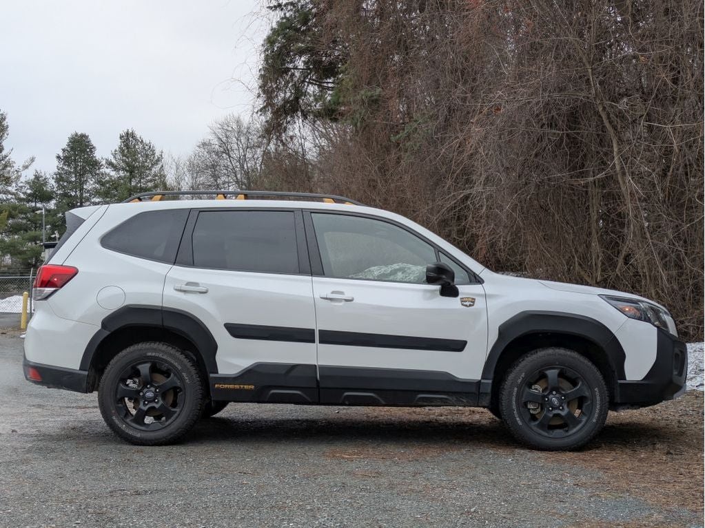 2025 Subaru Forester Wilderness