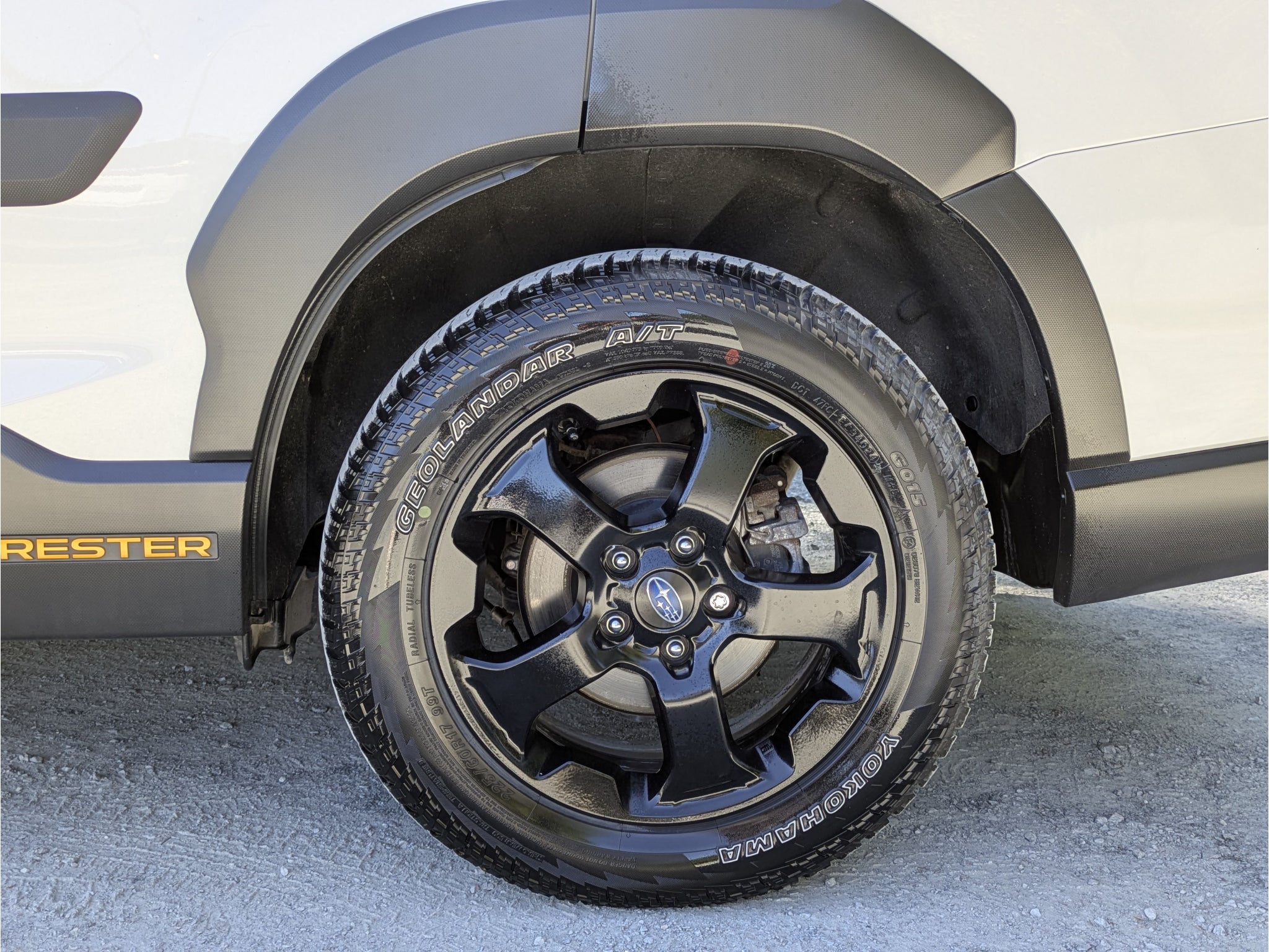 2025 Subaru Forester Wilderness