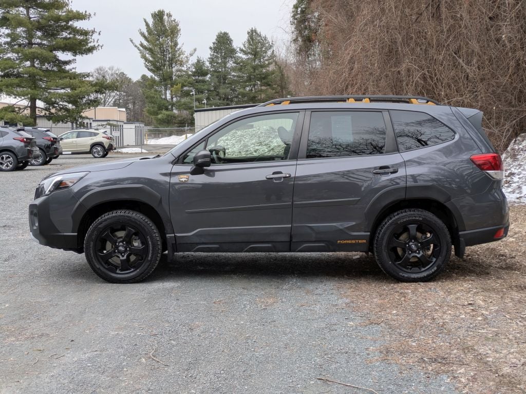 2023 Subaru Forester Wilderness