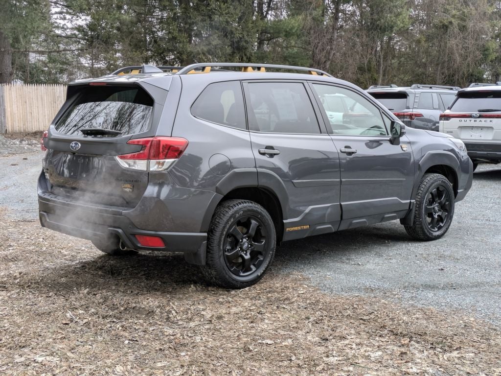 2023 Subaru Forester Wilderness