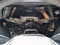 2027 GMC Yukon 1500 Elevation