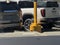 2026 GMC Yukon 1500 Elevation
