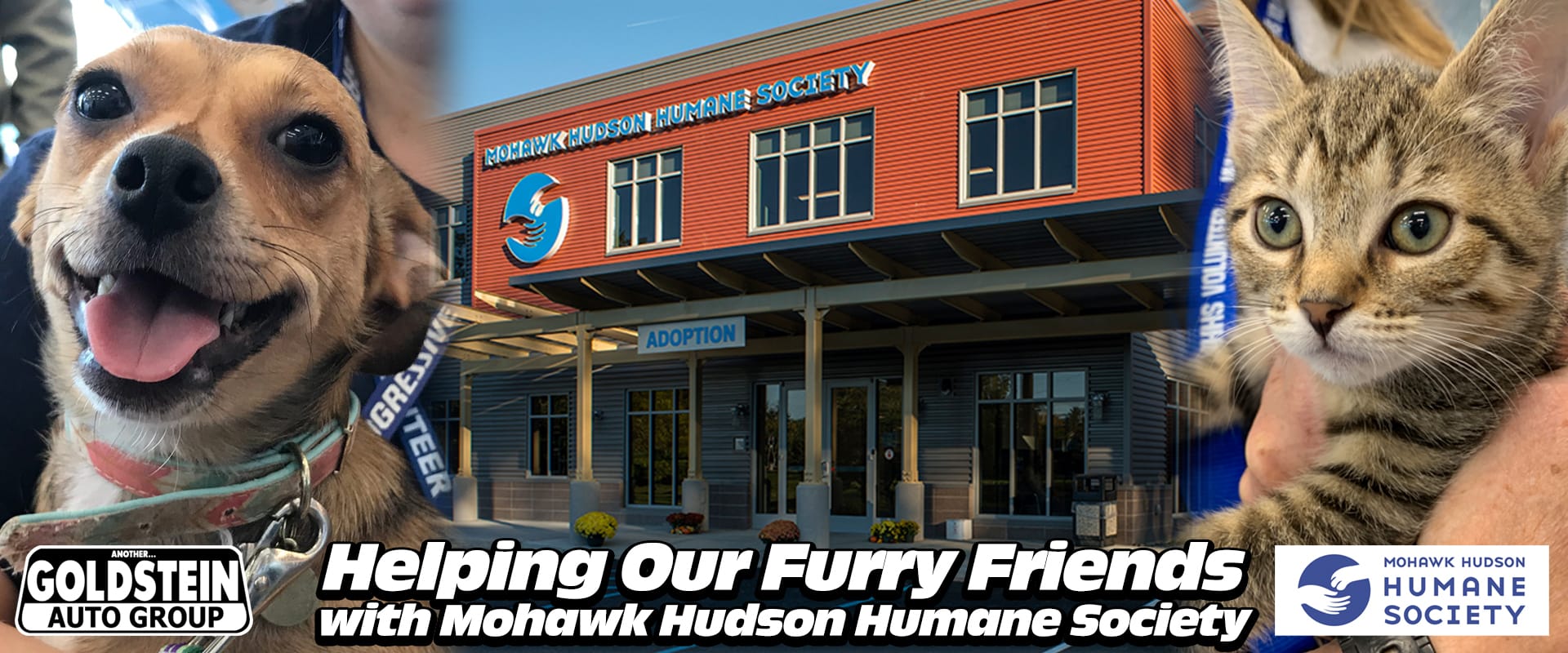 Goldstein Auto Group and Mohawk Hudson Humane Society Donations information