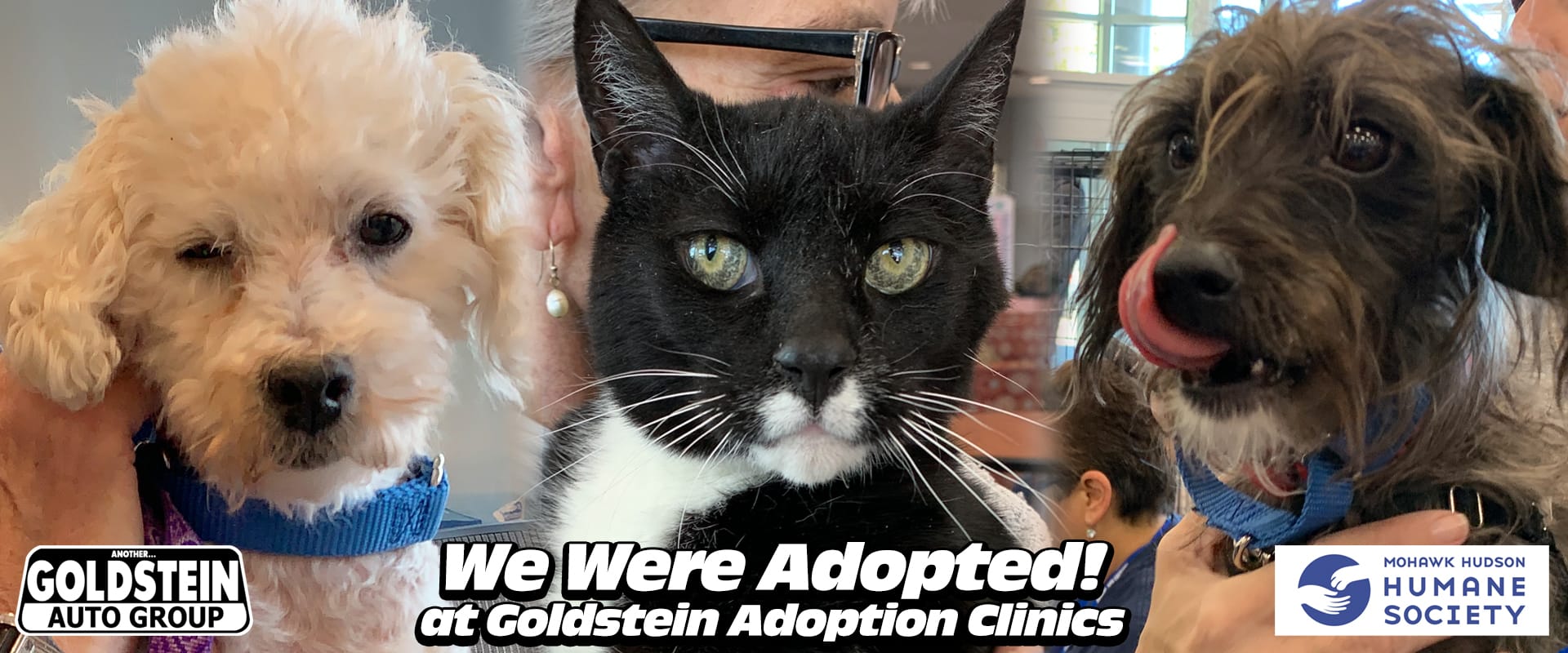 Goldstein Auto Group and Mohawk Hudson Humane Society pet adoptions